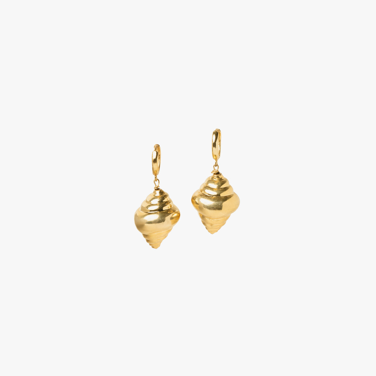 Tulip Shell Earrings